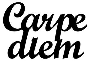 Wallity Nástěnná kovová dekorace CARPE DIEM II černá