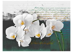 Fototapeta - Inspirace orchidejí 200x154