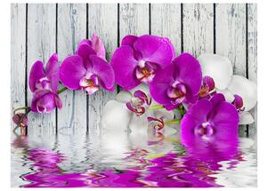 Fototapeta - Fialové orchideje s reflexí vody 350x270 + zdarma lepidlo
