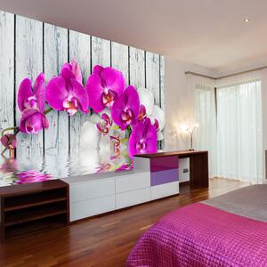 Fototapeta - Fialové orchideje s reflexí vody 200x154 + zdarma lepidlo