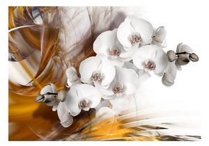 Fototapeta - Hořící orchidej 200x140 + zdarma lepidlo
