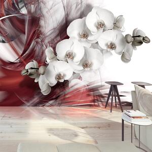 Fototapeta - Orchidej v červené barvě 200x140 + zdarma lepidlo