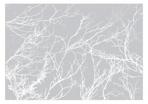 Fototapeta - Bílé stromy 200x140 + zdarma lepidlo
