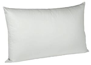 POVLAK NA POLŠTÁŘ, 40/40 cm, bavlna Fleuresse - Povlaky na polštáře
