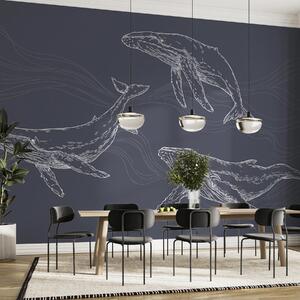 Fototapety Půvabné velryby v pohybu v oceánu, Fototapety moře, u99733v1 : uwalls.cz