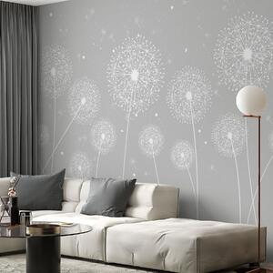 Fototapety Křehké pampelišky tančící ve větru, Fototapety květiny, w00754v1 : uwalls.cz
