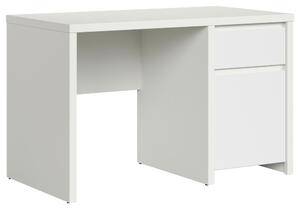 PSACÍ STŮL, bílá, 120/65/77 cm - Kancelářské stoly