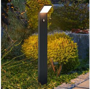 Brilagi - LED Venkovní lampa se senzorem RIANO LED/8W/230V antracit IP65 80 cm