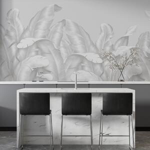 Fototapety Elegantní listy v jemných bílých tónech, Fototapety příroda, Fototapety palmové listy, w00019v2 : uwalls.cz