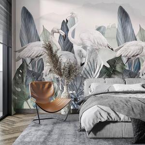 Fototapety Elegantní plameňáci mezi bujnou zelení, Fototapety příroda, w00505v2 : uwalls.cz
