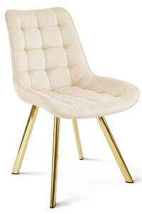 Jídelní židle SORIA sametová, světle béžová / zlaté nohy