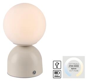 Schöner Wohnen 19218-39 - LED Stm. stolní lampa RUDI LED/1,2W/5V šedá