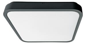 Brilagi-LED Koupel. strop. sv. se senz. ZENNA LED/18W/230V 28,5x28,5 cm IP44 ant