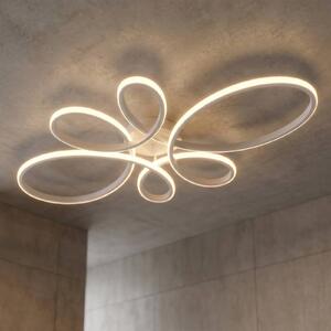 Trio Lighting Stropní svítidlo Fly LED, matná bílá, 4 000 K, 83 cm x 45 cm, stmívatelný, Bílá / opál, Obývací pokoj / jídelna, kov, Moderní