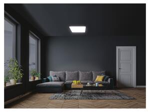 LIVARNO home Bezrámečkové LED svítidlo s nastavitelným tónem světla (čtverec) (100365443001)