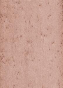 Tapeta 37503 Arte