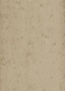 Tapeta 37509 Arte