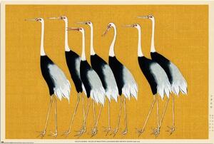 Plakát, Obraz - Ogata Korin - Flock of Beatiful Japanese Red Crown Crane, (91.5 x 61 cm)