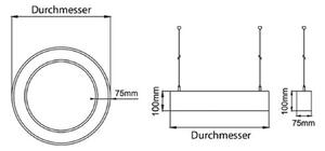 BRUMBERG Biro Circle Ring10 direct 45 cm on/off bílá 3000 K