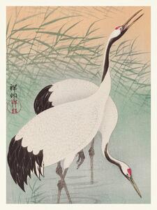 Obrazová reprodukce Two Cranes (Japandi Vintge) - Ohara Koson, (30 x 40 cm)