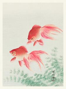 Obrazová reprodukce Two Veil Goldfish (Japandi Vintage) - Ohara Koson, (30 x 40 cm)