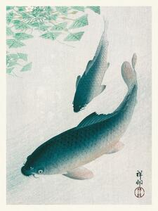 Obrazová reprodukce Two Carp Fish (Japandi Vintage) - Ohara Koson, (30 x 40 cm)