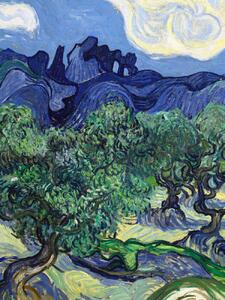Obrazová reprodukce The Olive Trees (Portrait Edition) - Vincent van Gogh, (30 x 40 cm)