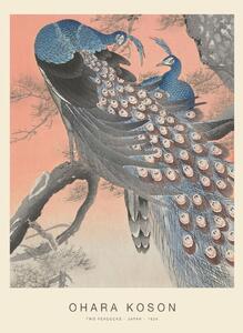 Obrazová reprodukce Two Peacocks (Special Edition) - Ohara Koson copy, (30 x 40 cm)