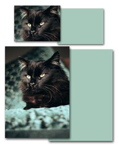 Povlečení Veba GEON tisk Kočka mintová Velikost: 140x200 cm + 70x90 cm