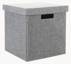 Skladovací box Lena