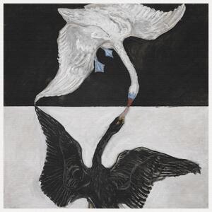 Obrazová reprodukce The Swan No.1 (Black & White) - Hilma af Klint, (40 x 40 cm)