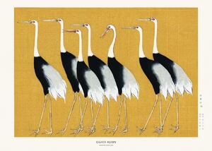 Studio Collection - Obrazová reprodukce Japanese Red Crown Crane, (40 x 30 cm)