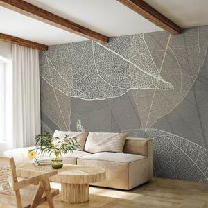 Fototapety detailní záběr listů s žilkami v teplých šedých tónech, Fototapety příroda, Fototapety listy, w02520v2 : uwalls.cz