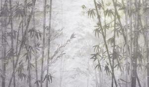 Luxusní vliesová fototapeta na zeď, Bambus, Z77590, Savana, Zambaiti Parati