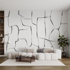 Fototapety Abstraktní linie, Fototapety abstraktní, w08574v1 : uwalls.cz