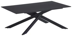 KONFERENČNÍ STOLEK, černá, kov, sklo, 115/65/42 cm Stylife - Konferenční stolky