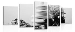 5-dílný obraz Zen kameny s mušlemi v černobílém provedení - 100x50 cm