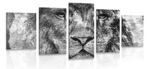 5-dílný obraz tvář lva v černobílém provedení - 200x100 cm