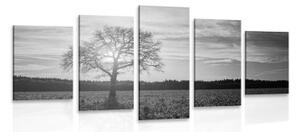 5-dílný obraz osamělého stromu v černobílém provedení - 100x50 cm
