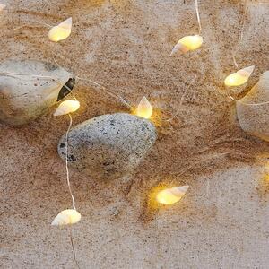 SIRIUS LED dekorace, světelný řetěz, mořské mušle