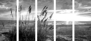 5-dílný obraz západ slunce na pláži v černobílém provedení - 100x50 cm