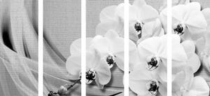 5-dílný obraz orchidej na plátně v černobílém provedení - 100x50 cm