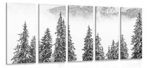 5-dílný obraz zasněžené borové stromy v černobílém provedení - 100x50 cm
