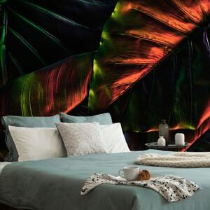Samolepící tapeta tropické palmové listy - 450x300 cm