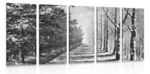 5-dílný obraz podzimní alej stromů v černobílém provedení - 100x50 cm