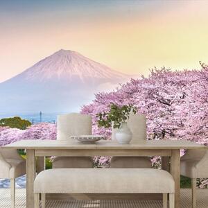 Fototapeta nádherné Japonsko - 300x200 cm
