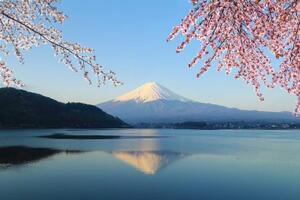 Fototapeta výhled z jezera na Fuji - 150x100 cm