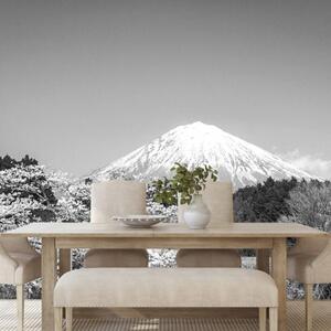 Samolepící fototapeta hora Fuji v černobílém - 300x200 cm