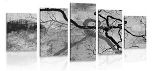 5-dílný obraz surrealistické stromy v černobílém provedení - 100x50 cm
