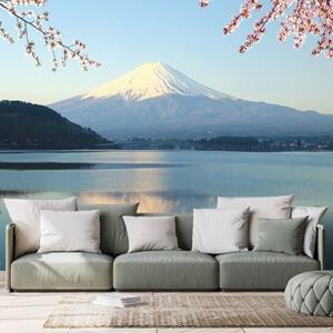 Fototapeta výhled z jezera na Fuji - 375x250 cm